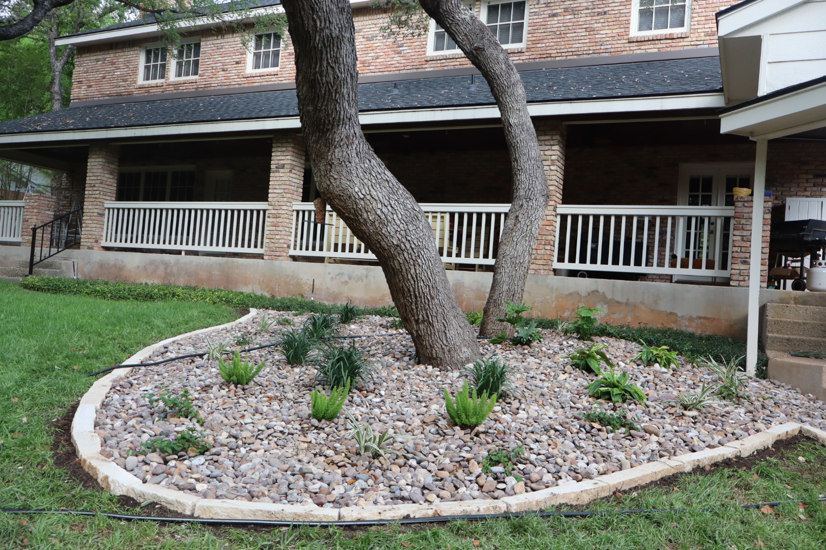 Ortiz Tree Service project photo