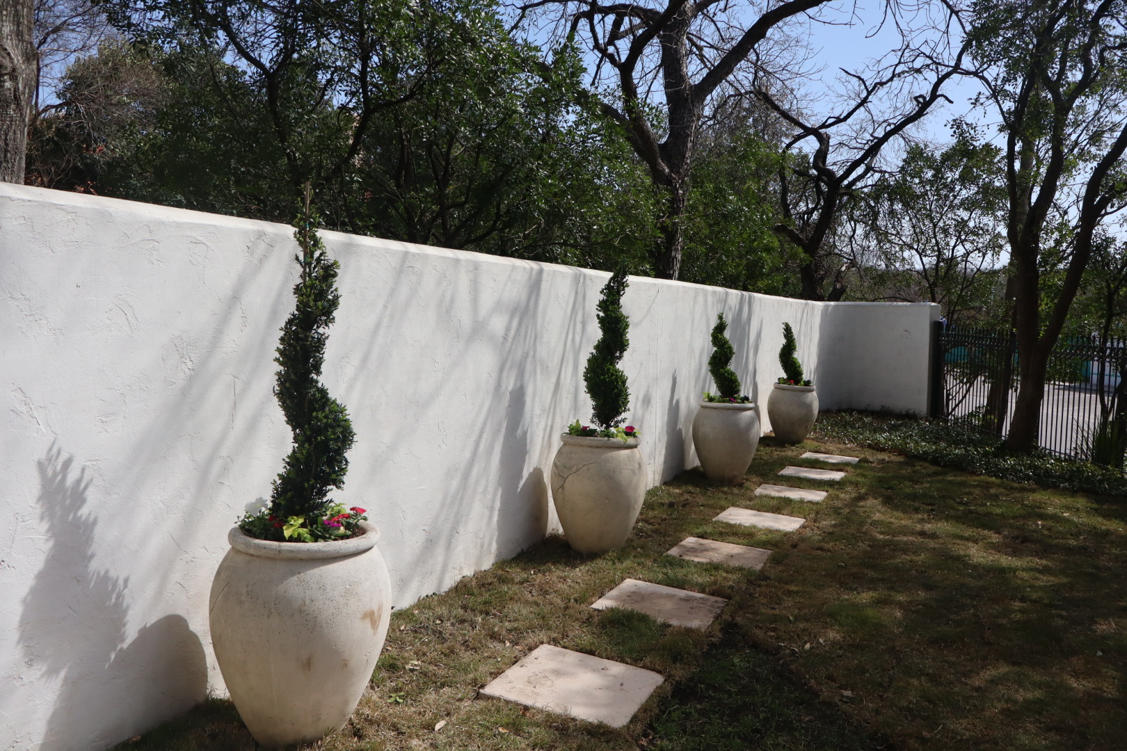Ortiz Tree Service project photo