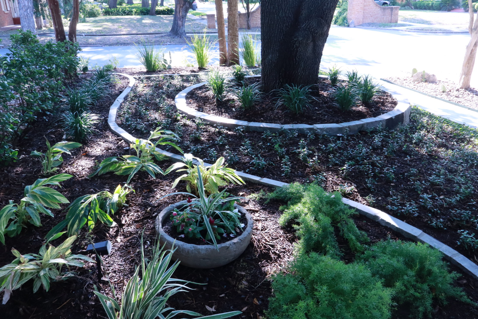 Ortiz Tree Service project photo