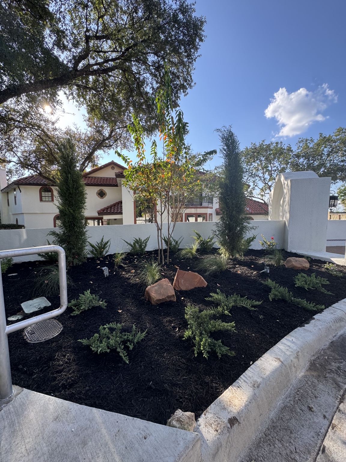 Finished front bed with new trees, groundcover and mulch