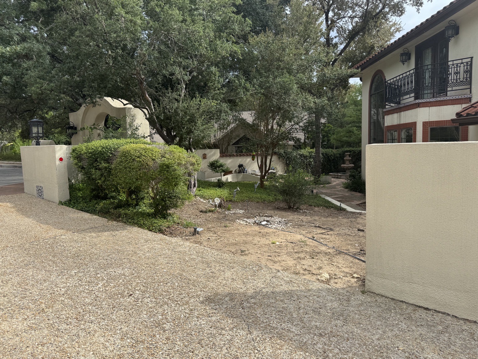 Courtyard with existing shrubs and trees