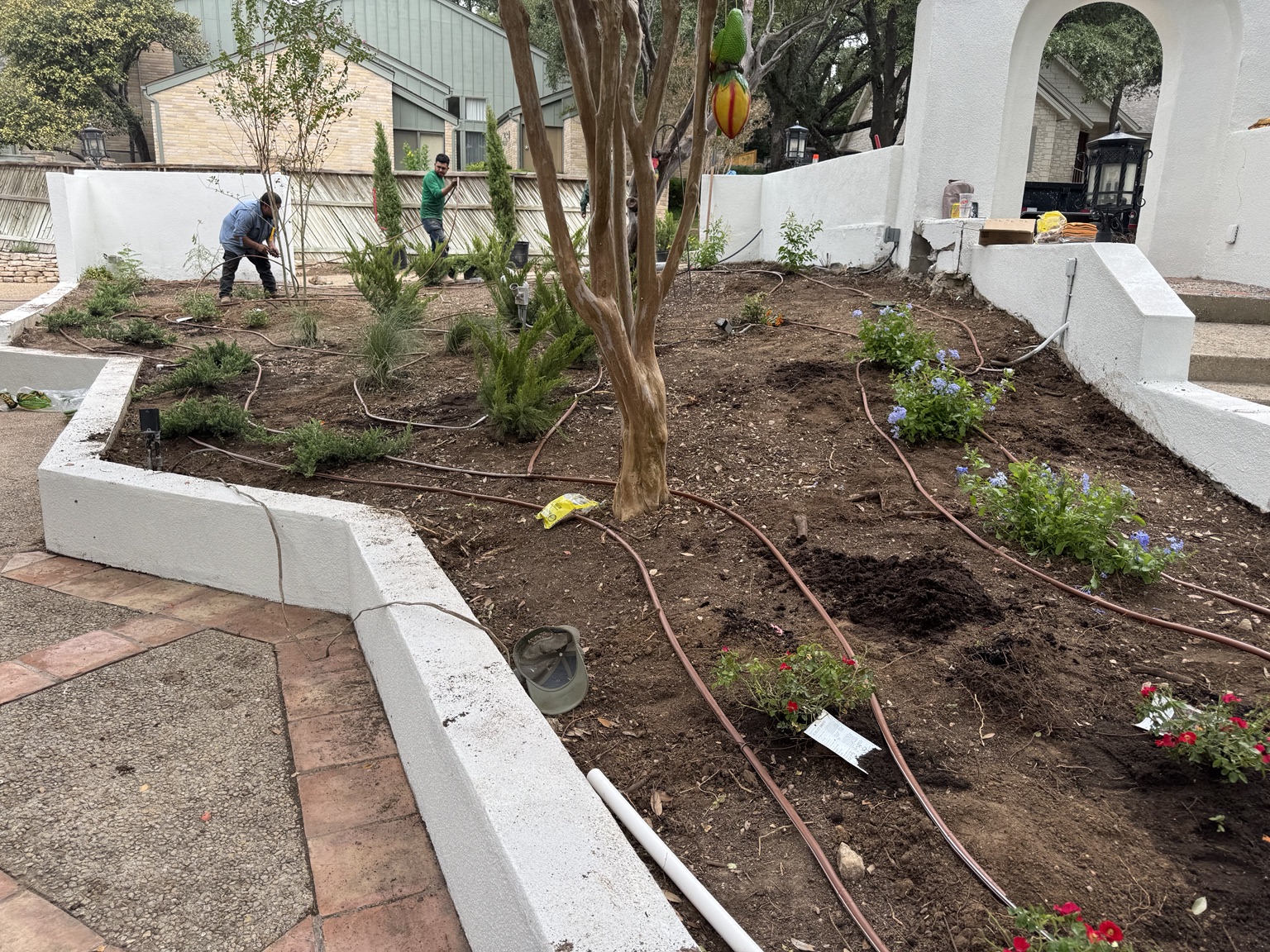 Planting and irrigation installation in the courtyard
