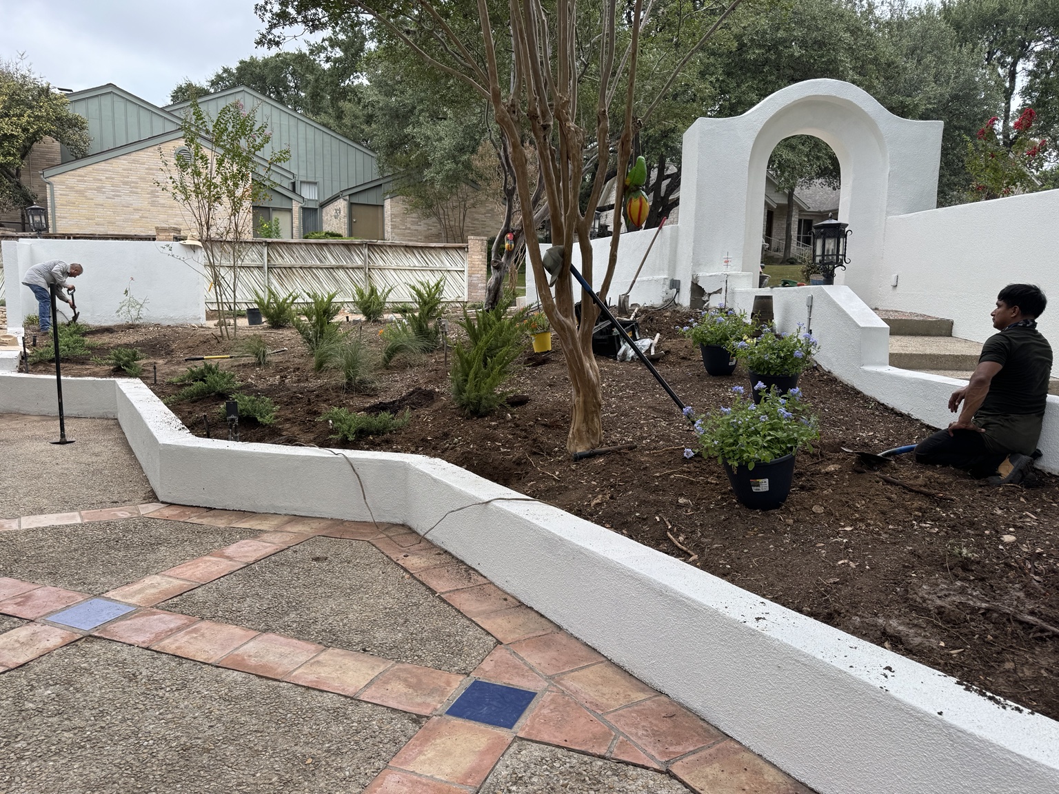 Crew positioning and planting the courtyard plants
